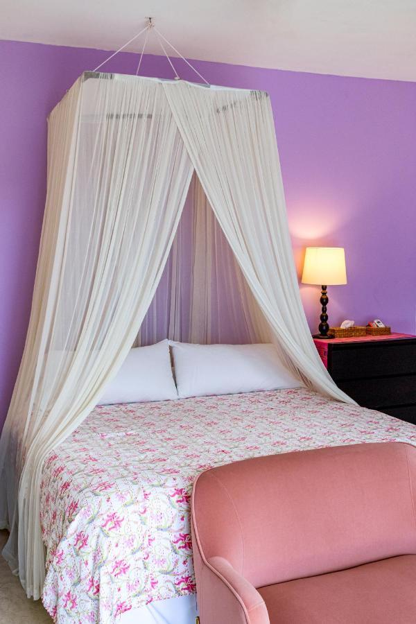 The Hotelito Todos Santos Luaran gambar