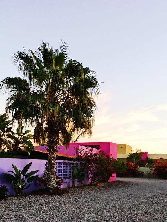 The Hotelito Todos Santos Luaran gambar